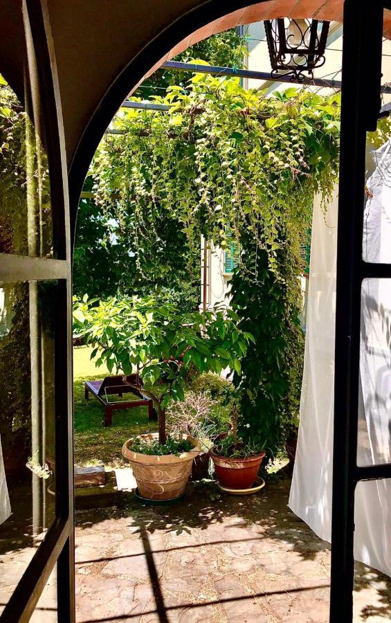 Holiday home La Limonaia Di Casagrande Barga