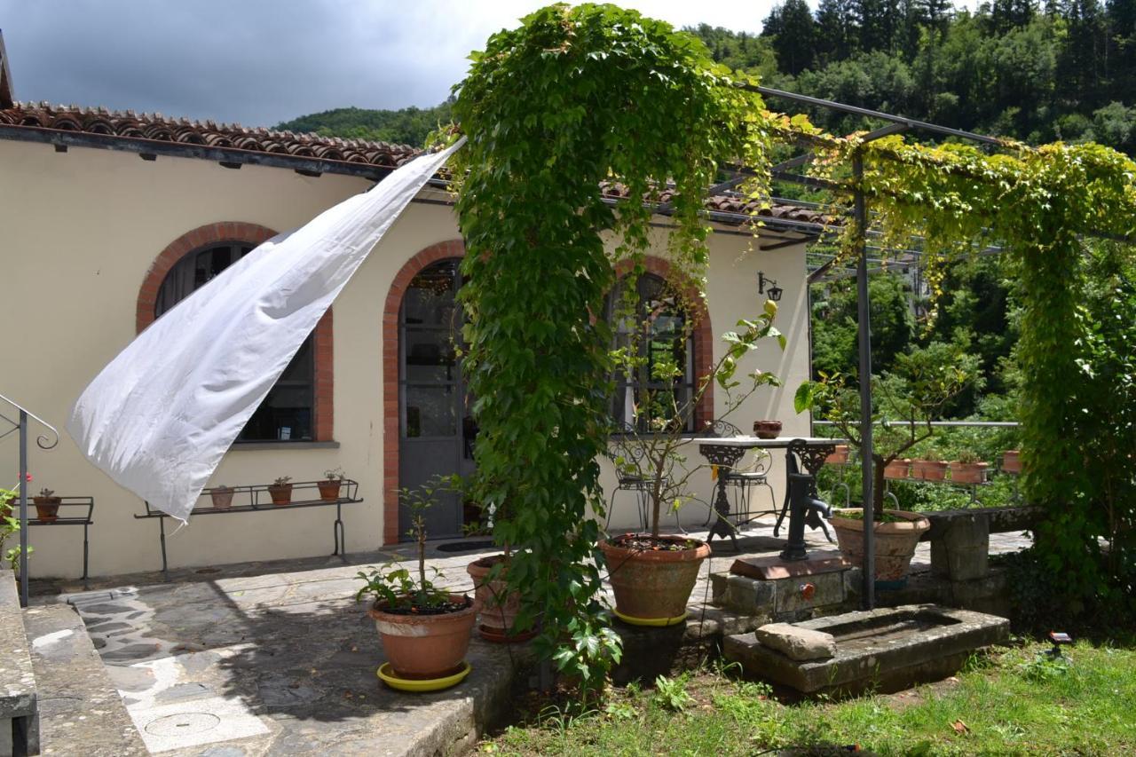 Holiday home La Limonaia Di Casagrande Barga