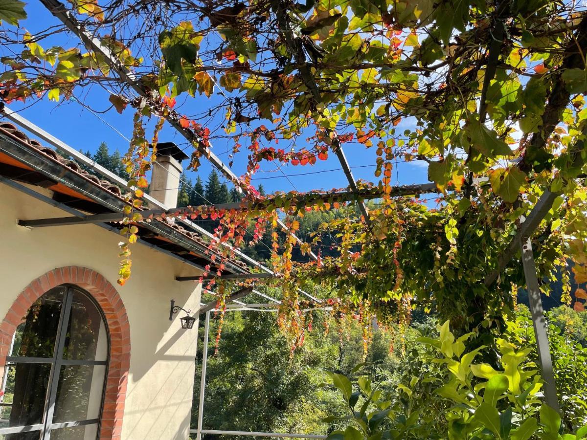 La Limonaia Di Casagrande Holiday home Barga