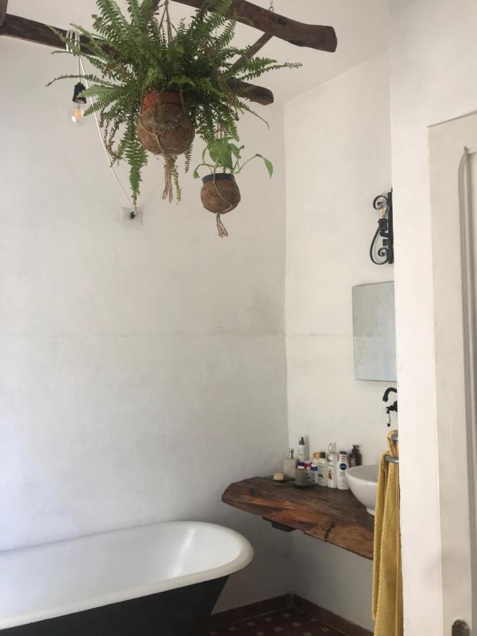 La Limonaia Di Casagrande * Barga