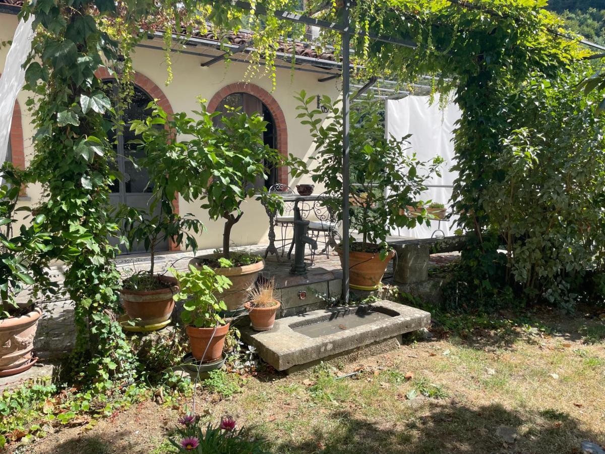 Holiday home La Limonaia Di Casagrande