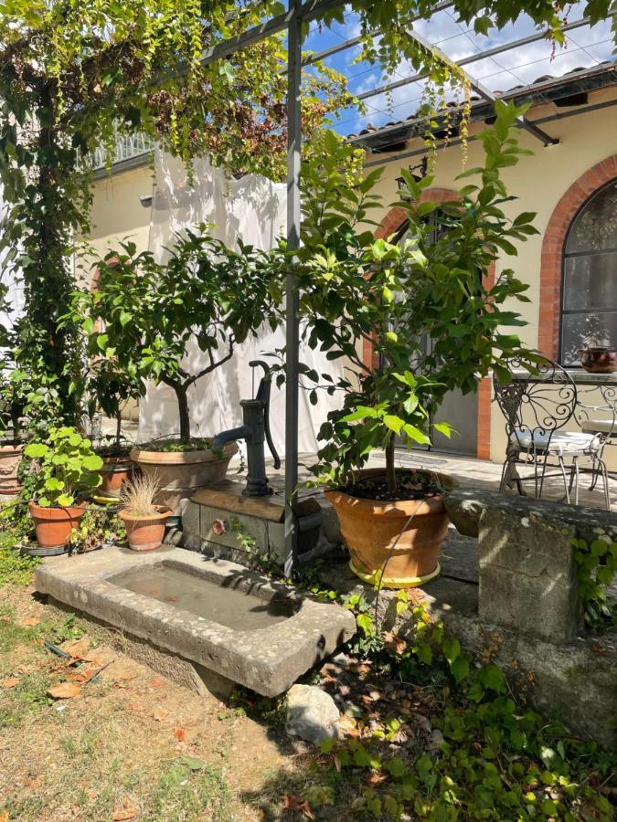 Holiday home La Limonaia Di Casagrande Barga