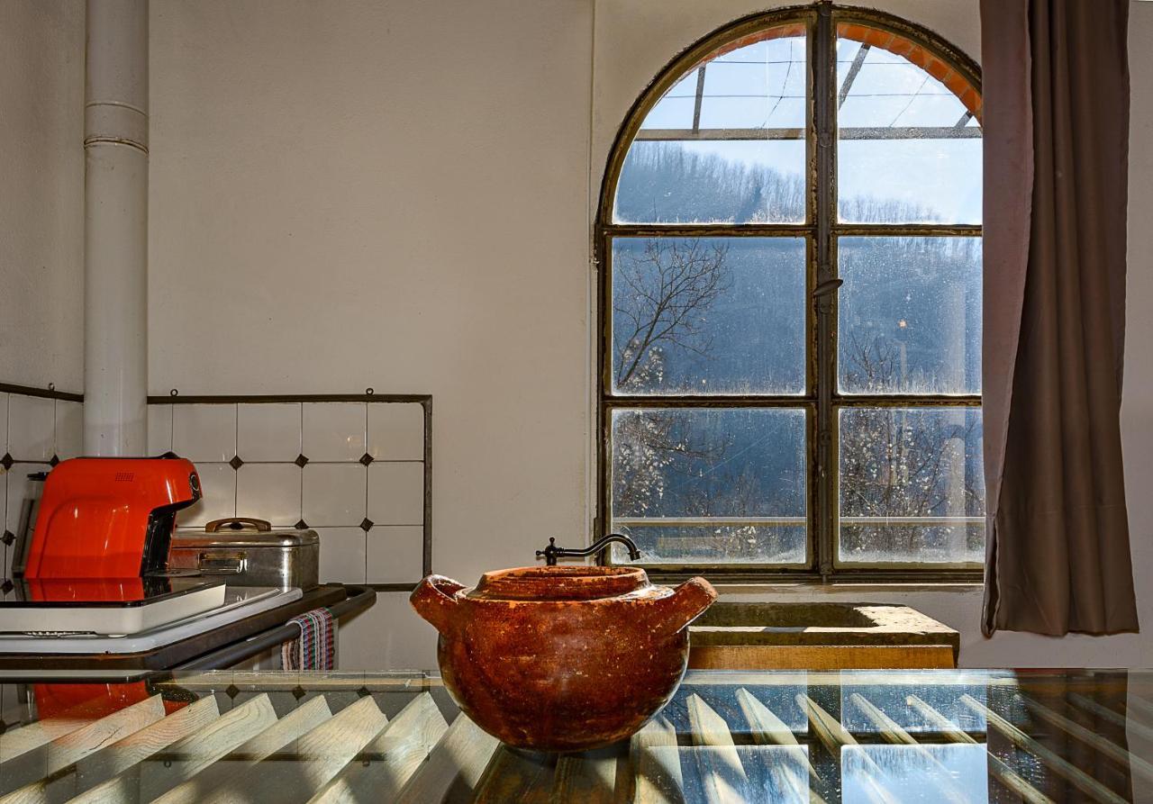 La Limonaia Di Casagrande Holiday home Barga