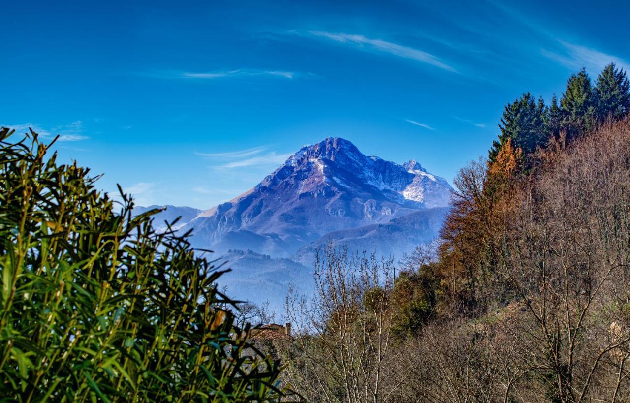 La Limonaia Di Casagrande Holiday home