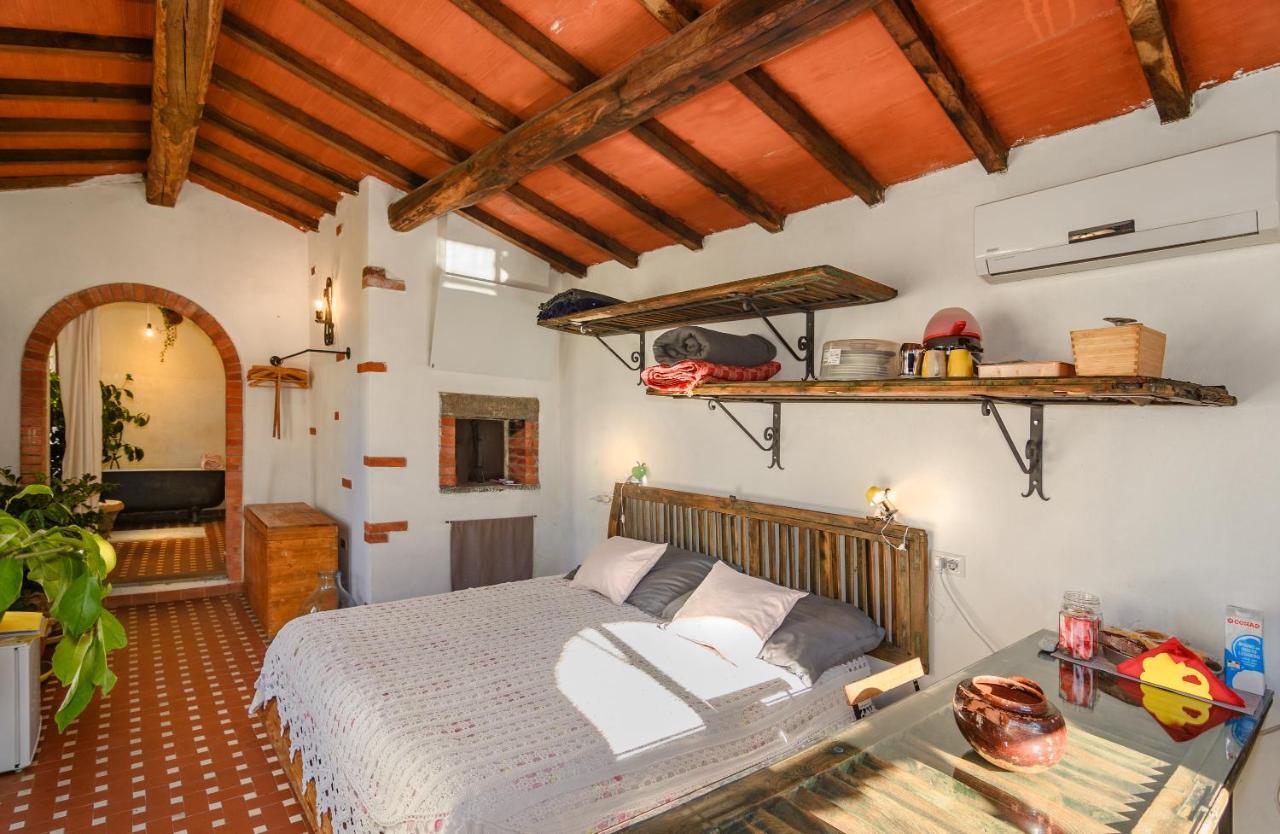 La Limonaia Di Casagrande Holiday home Barga