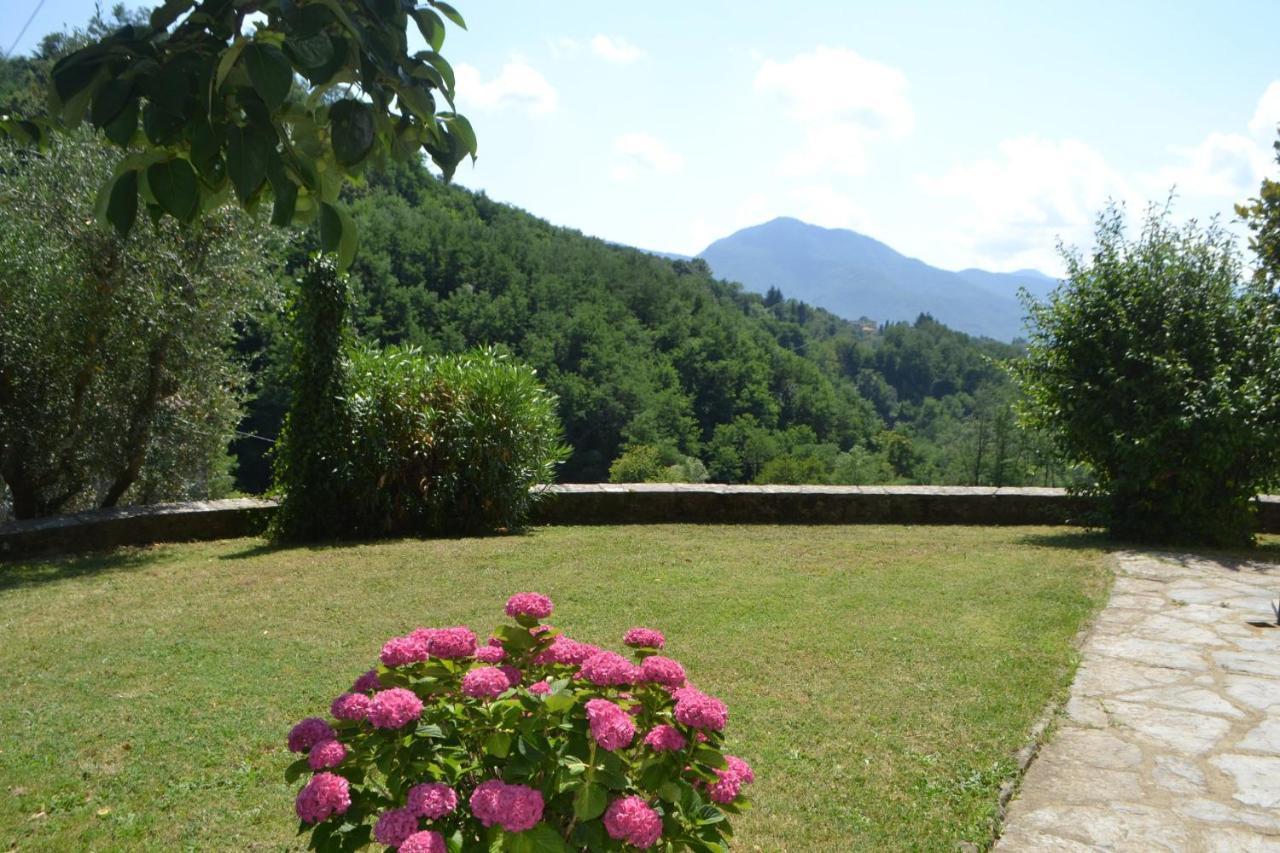 La Limonaia Di Casagrande * Barga
