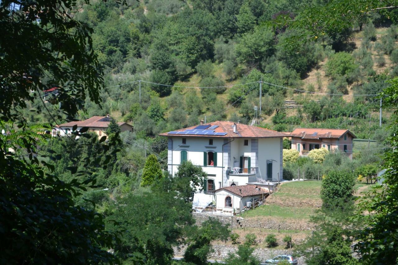 La Limonaia Di Casagrande